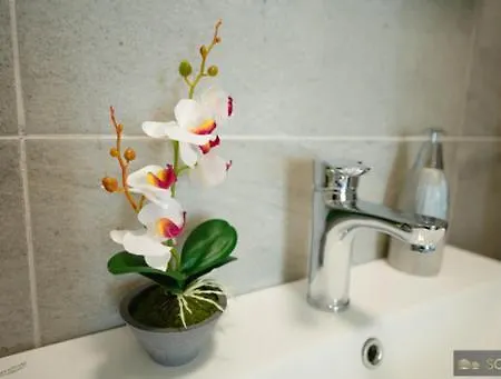 Soft Alezzi Appartement *